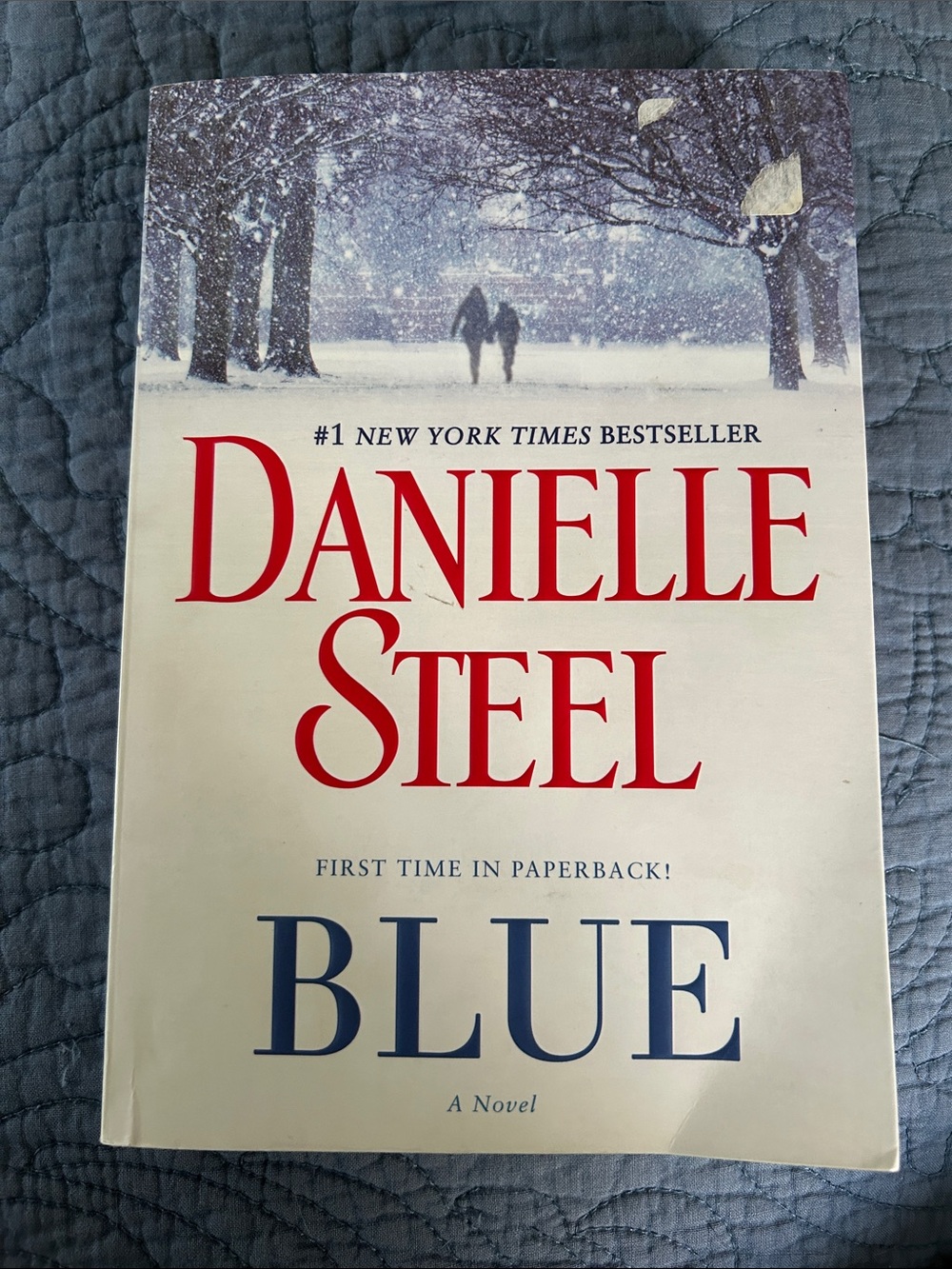 Danielle Steel - Blue Paperback Book in White/Cream and Blue